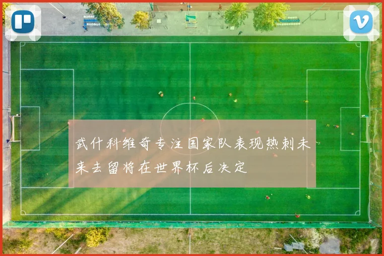 武什科维奇专注国家队表现热刺未来去留将在世界杯后决定